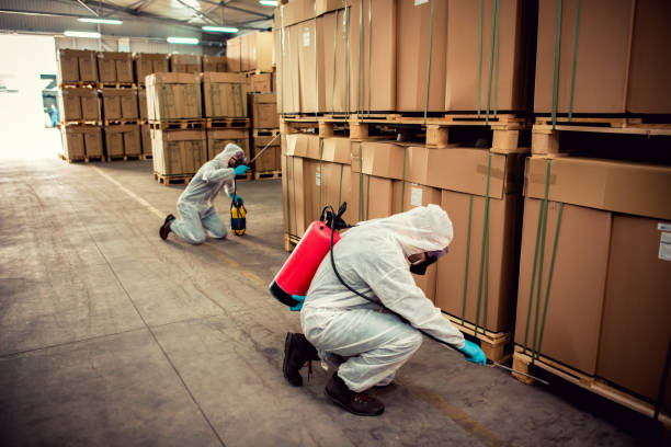 Best Pest Inspection Near Me  in Stockton, IL