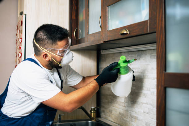 Best Bed Bug Extermination  in Stockton, IL