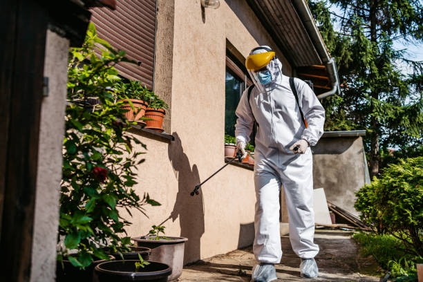 Best Ant Control Services  in Stockton, IL