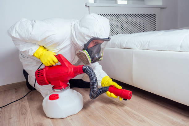 Best Affordable Pest Control Services  in Stockton, IL