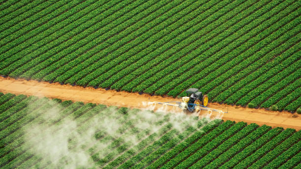 Insect Control in Stockton, IL