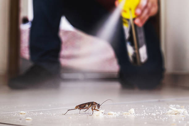 Best Wildlife Control Services  in Stockton, IL