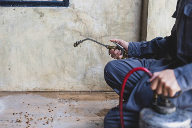 Best Pest Removal Services  in Stockton, IL