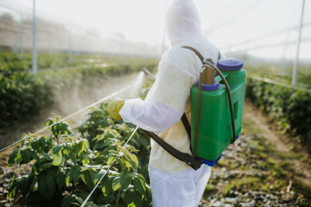 Best Mosquito Control Services  in Stockton, IL